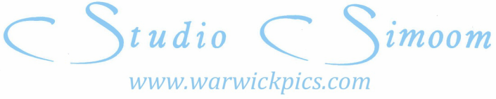 Warwick Pics logo